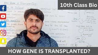 How Gene is Transplanted 10th ClassBasic Steps of Genetic Engineering and Biotechnology [upl. by Zetnod]