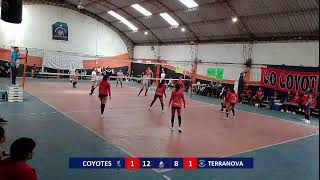 LVQ  COYOTES VS TERRANOVA U  15 F [upl. by Nileuqcaj820]