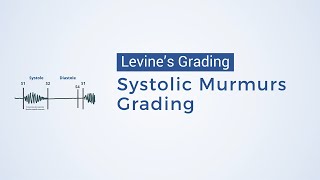 Grading of Systolic Murmurs  Levines Grading [upl. by Zetneuq]