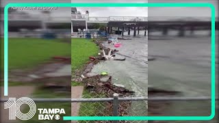 Downed trees and flooding in Galveston Texas after Beryl hits [upl. by Nivlag]