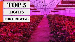 TOP 5 Best Lights for Growing 2023 [upl. by Jedd]