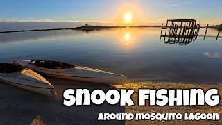 Snook Fishing in Antique Kayaks is the BEST Kept Secret [upl. by Adelaja925]