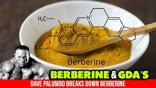 BERBERINE A MUSTTAKE FOR BODYBUILDERS [upl. by Muller]