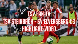 TSV Steinbach  SV Elversberg 13 Regionalliga Südwest 201718 [upl. by Naujud616]