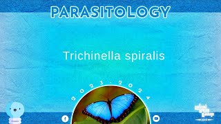 L1part 1 Trichinella spiralis  parasitology [upl. by Neurath870]