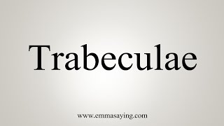 How To Say Trabeculae [upl. by Arol]