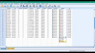 Alfa de Cronbach en SPSS [upl. by Frederik355]