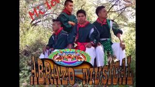 AVIENTAMEABRAZO MUSICAL HUICHOL 2013 [upl. by Suzetta755]