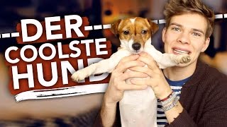 DER COOLSTE HUND EVER [upl. by Wit252]