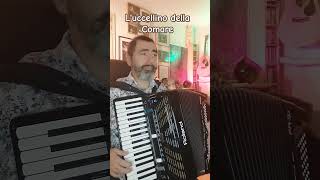 Luccellino della Comare  Folk Song Italian accordeon musica music fisarmonicista [upl. by Dleifrag]