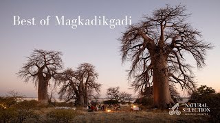 The Best of the Makgadikgadi Salt Pans  Botswana [upl. by Aima102]