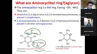 Aminoglycosides Antibiotics Aminocyclitol rings chemical Properties and Structure of Streptomycin [upl. by Itnahsa]