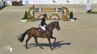 150cm Zoweja Krzysztof Ludwiczak CSIO5 Sopot – 10 06 2017 [upl. by Alan]