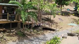 French side of St Martin  Loterie Farm Zipline [upl. by Johppah]