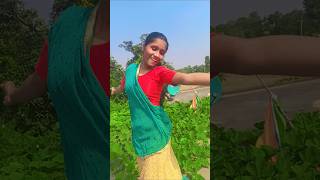 Kagara Mohammad Wall song bhojpuri dance music bhojhpuri ytshorts love trending [upl. by Sloane]