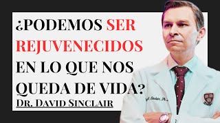 Las ÚLTIMAS Tecnologías para ALARGAR la VIDA  Dr David Sinclair [upl. by Brett]