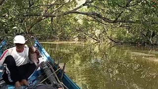 Mancing disaat air pasang besar Alhamdulillahmasih tetap dapat sambaran [upl. by Lenni967]