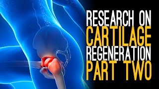 Cartilage Regeneration with Dr Zeng Part 2 [upl. by Lajes]