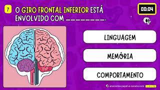 Quiz de Anatomia  Giros e Sulcos cerebrais [upl. by Wilkins]