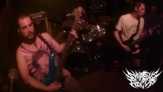 Short Bus Pile Up Live at 25 Watt  Richmond Virginia 062316 [upl. by Yltneb563]