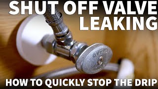 Leaking Shut Off Valve Under Sink  Faucet Valve Leaking  How to Fix a Leaky Shut Off Valve Quickly [upl. by Ladiv]