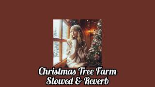 Christmas Tree Farm  Slowed amp Reverb [upl. by Akedijn]