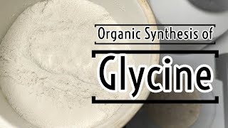 Glycine Organic Synthesis [upl. by Acilejna]