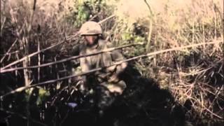 Dak To Vietnam 1967 The 173rd Airborne Brigade SEP [upl. by Yllod]