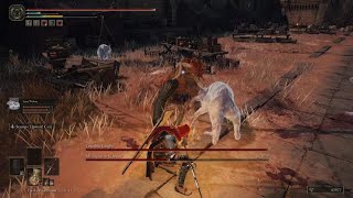 ELDEN RING Misbegotten Warrior amp Crucible Knight Boss Fight [upl. by Nnyleahs]