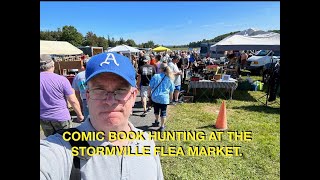 Comic Book Hunting at the Stormville Flea Market [upl. by Drofxer]