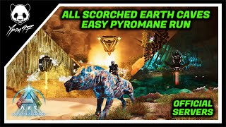 Running All Scorched Earth Caves With a Pyromane  EASY CAVE RUNS  ARK Survival Ascended [upl. by Aicatan]