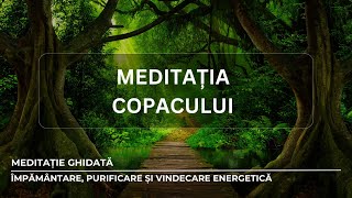 MEDITAȚIA COPACULUI  MEDITAȚIE GHIDATĂ PENTRU ÎMPĂMÂNTARE RECALIBRARE ȘI VINDECARE ENERGETICĂ [upl. by Eltotsira]