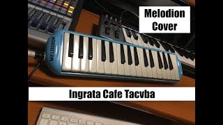 Ingrata Cafe Tacvba Melodion Cover [upl. by Anirbas]