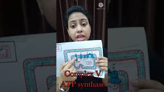 ATP Synthase  Energy Production in Mitochondria  Class 11 BiologyNEETAIIMS  shorts [upl. by Eilahs]