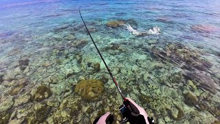 10 Casts 10 Fish  Maldives Fishing For Grouper [upl. by Attenol379]