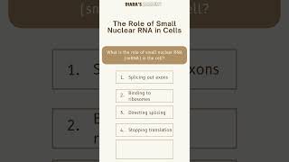 Biology MCQ What is the role of small nuclear RNA snRNA in the cell Diarasacademy [upl. by Moersch]