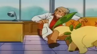 Bayleef tackles Professor Oak in the crotch [upl. by Nathan961]