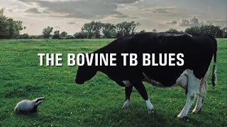 The Bovine TB Blues  by THE ALCHEMISTS OF POP [upl. by Anec]