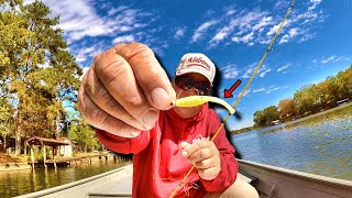 THIS Jig DOMINATES Crappie Fishing In The Fall [upl. by Brit]