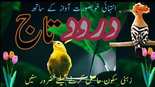 Darood E Taj  درود تاج  darood pak  Darood Shareef  درود شریف Ep35 [upl. by Karab]