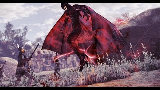 Berserk Musou  Femto Griffith Gameplay ベルセルク無双 [upl. by Sulihpoeht385]