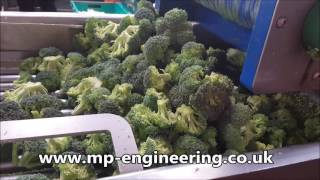 Broccoli amp Cauliflower Floretting Machine [upl. by Genia830]