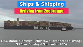 Arriving with a 20 knot Southeasterly breeze MSC Daniela Part 1 Sunday 6 October 2024 [upl. by Conlan]