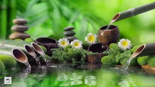 🔴 Relaxing Music 247 Stress Relief Music Meditation Spa Sleep Zen Calming Music Study Yoga [upl. by Critta]