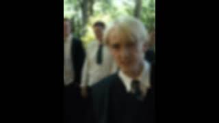 Draco Ferret Malfoy Edit [upl. by Ellered]