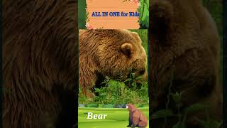 bear sound bearsound animalsnamesandsounds animals [upl. by Theodore]