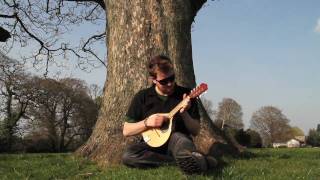 The Battle Of Evermore on Mandolin  Led Zeppelin [upl. by Hollerman864]