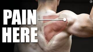 Rotator Cuff Tear Rehab amp Exercises Shoulder Pain Tendinitis Impingement [upl. by Noland912]