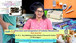 Lecture 06 TCA Cycle II – Regulation and special characteristics [upl. by Alf]