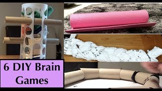 DIY Brain Games for Dogs Homemade food puzzle toys [upl. by Lewls]